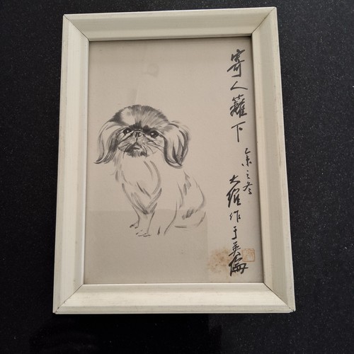 Cornice quadro cane lavaggio