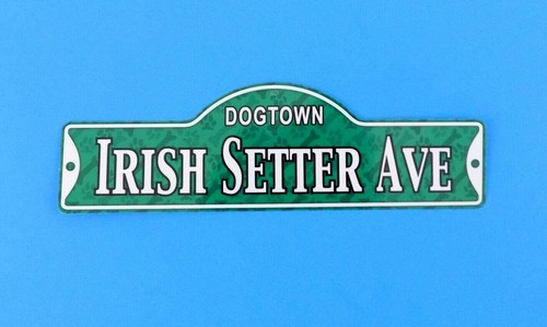 Dogtown irish setter - -, ave