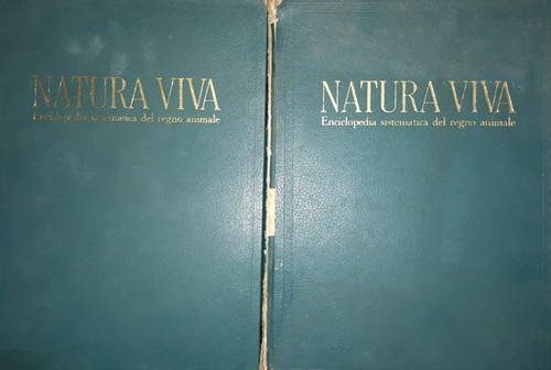 Natura viva enciclopedia - natura, viva.