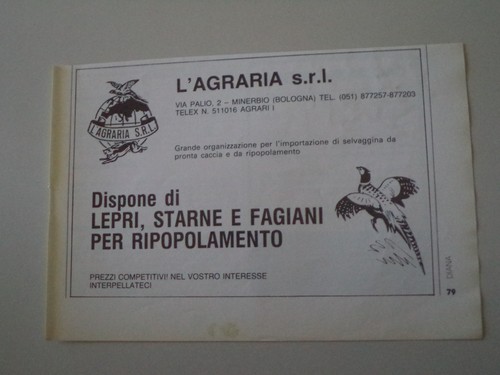 Advertising pubblicità 1982 - advertising,