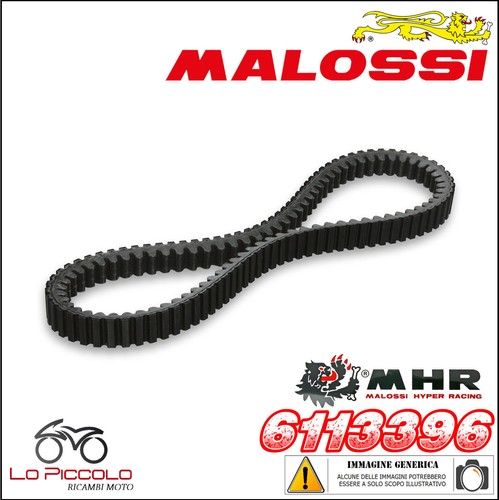 6113396 cinghia belt - cinghia, x