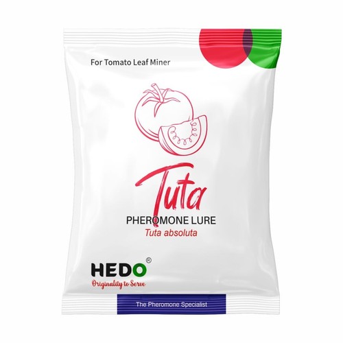 Hedo esca feromoni per - hedo,
