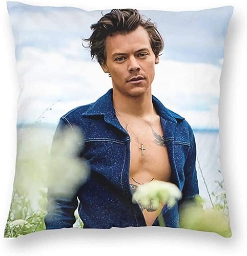 Federa cuscino harry styles - cuscino,