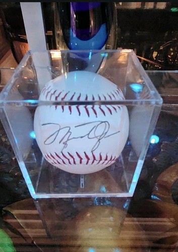 Baseball michael jordan - michael,