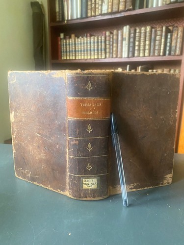 Merz thesaurus biblicus - merz,