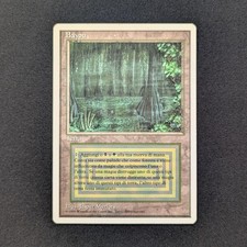 MTG \\>> Bayou (EX) <<//