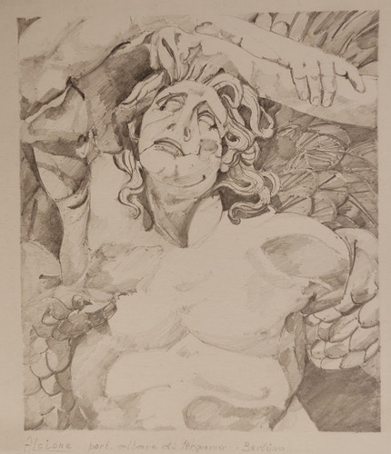 Disegno accademico matita - disegno,