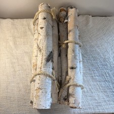 6 tronchi in legno di betulla