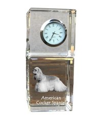 Cocker Spaniel Americano -