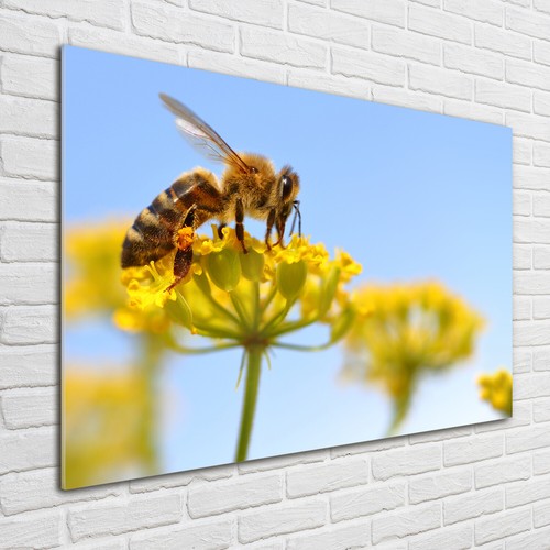 Quadro immagine arte parete - quadro,