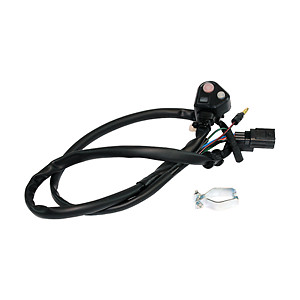 Interruttore