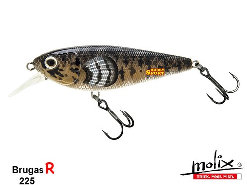 Molix brugas col - molix, brugas-r