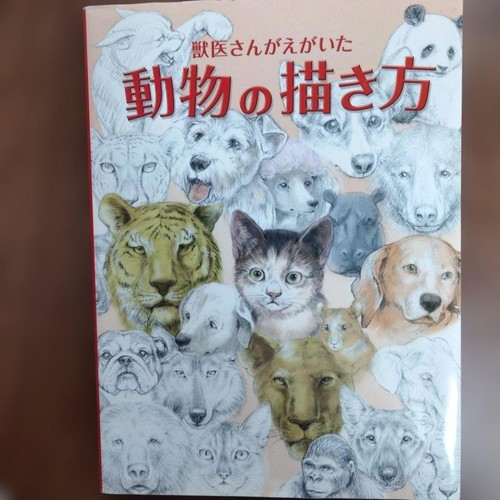 Come disegnare animali