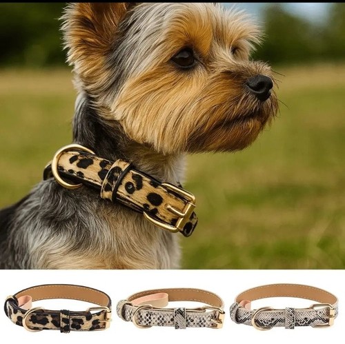 Collare cane leopardato fibbia - cane,