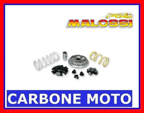 Variatore malossi honda i - malossi,