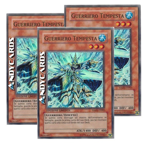 Guerriero tempesta - guerriero,