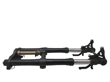 FORCELLA COMPLETA CON GRAFFI E REGOLAZIONE SCOLORITA KAWASAKI Z1000 SX 2015