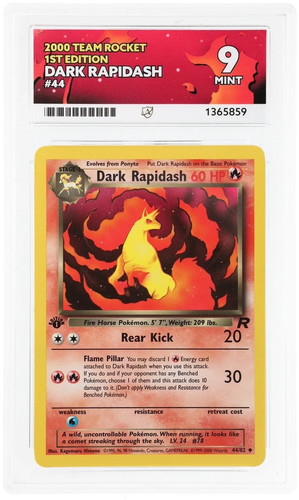 Dark rapidash team - rapidash,