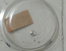 Rolex 1530-7866-Disco