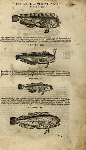 Stampa antica vita - stampa, antica-vita