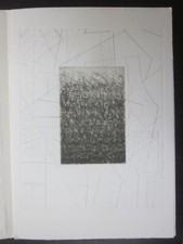 2002 Amor fra l'erbe... incisione Luigi Toccacieli tiratura 50 Petrarca Padova