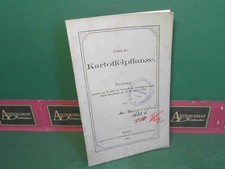 Sulla pianta di patate -