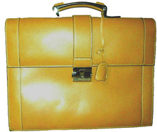 ⭐BORSA ITALIANA PINEIDER