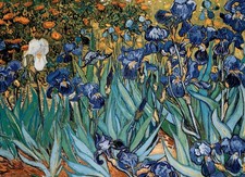 EuroGraphics Irises by Vincent