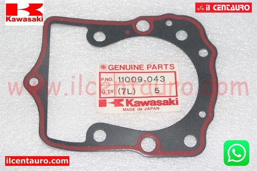 11009 043 guarnizione base - 11009-043,
