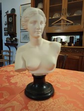 Elegante busto Venere Di Milo in polvere di marmo, stile classico