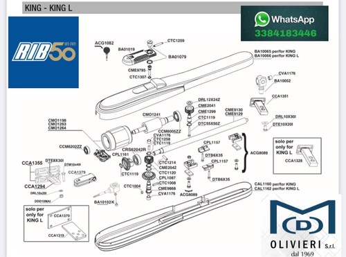 Chiocciola king traino - chiocciola,