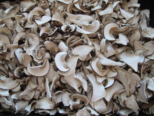 Funghi porcini secchi - porcini,