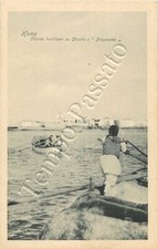 Siria - Homs, bestiame su