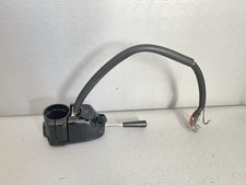 DEVIO LUCI LUPETTO LEONCINO