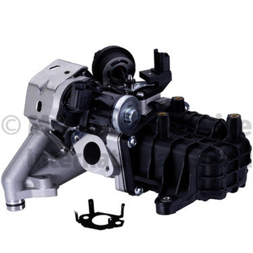 Radiatore ricircolo gas - , di