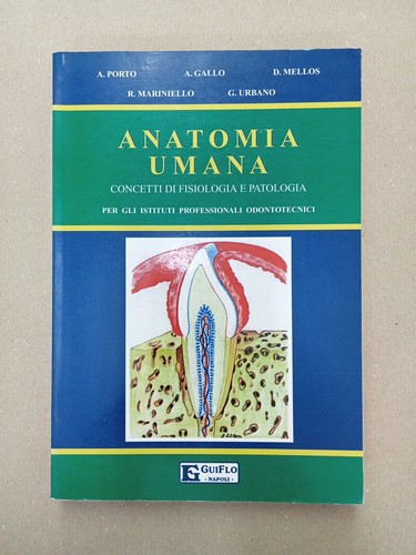 Anatomia umana concetti - concetti, di