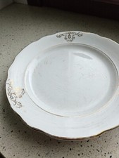 Piatti Porcellana Pagnossin