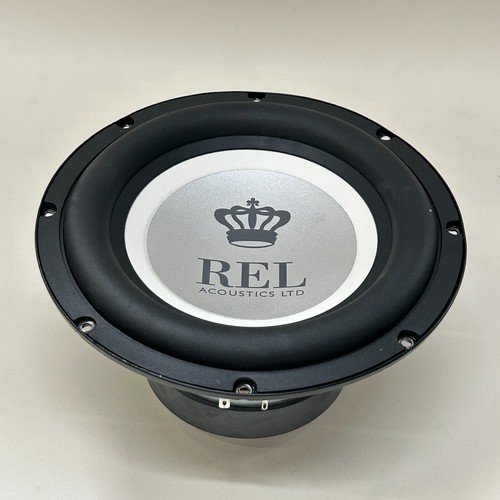 Driver subwoofer acustico