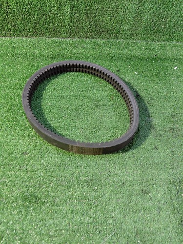 Cinghia motore dentata mini - dentata,