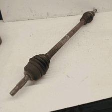 9638226380 Semialbero ant