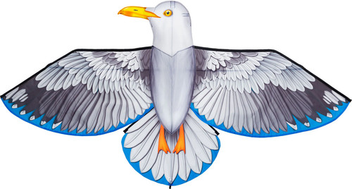 Drago per bambini - , bird