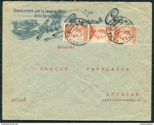 Illustrazione maiale italia - illustrazione,