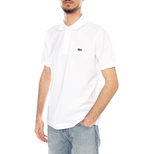 Maglietta polo bianca - maglietta,