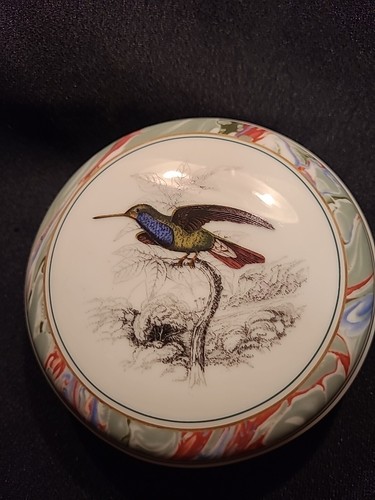 The bombay comp colibrì del - bombay,