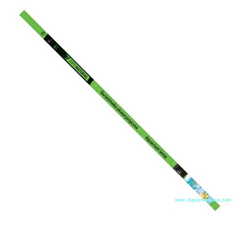 Diversa neon natural 54w - neon, t5