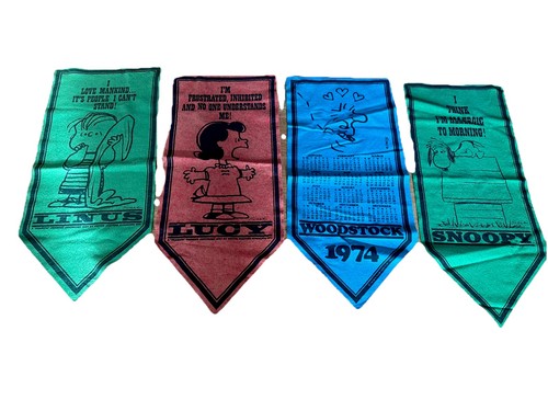 Set pennant feltro - pennant,