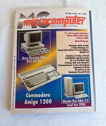 Microcomputer anno xiii - anno,