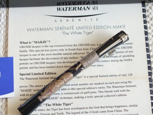 Penna stilografica waterman - penna,