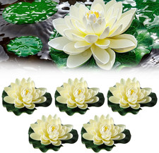 Fiori Di Loto Galleggianti