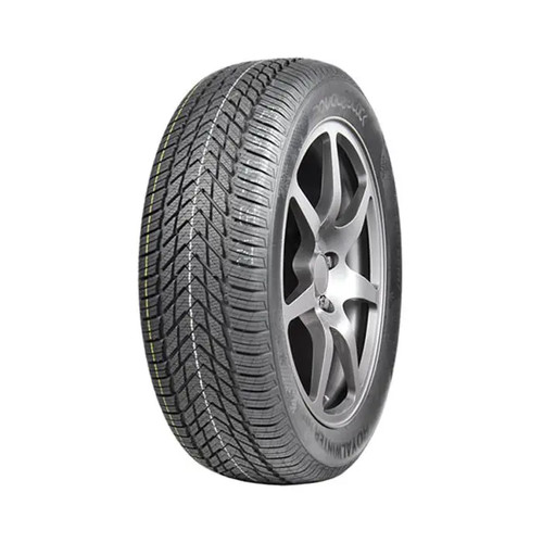 Royal black winter - royal,